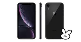 Das iPhone XR im Test