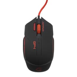 Cortek GP 4 Maus