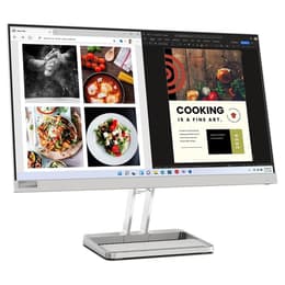 Bildschirm 21" LED Lenovo L24I-40