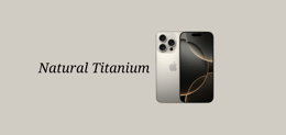 iPhone 16 Natural Titanium