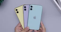 iPhone 11 Farben
