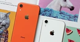 iphone xr farben